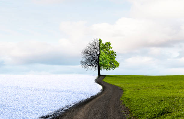 istock Season change from winter to summer 1464701905