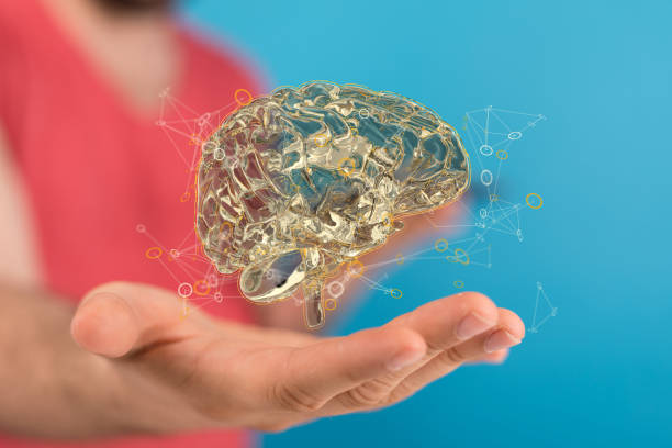 istock Person presenting the virtual projection of the human brain 1464702679