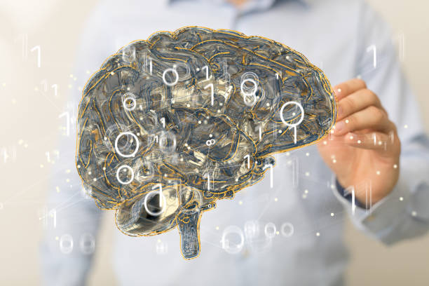 istock Floating 3D human brain near a hand 1464704024