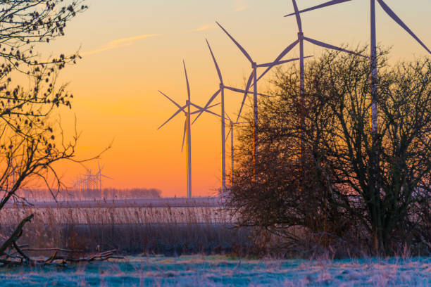 Trees and wind turbines along the edge of a frozen field in bright sunlight at sunrise under a blue sky in winter stock photo