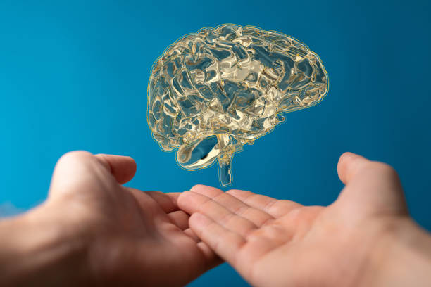 istock 3D rendering of a brain in man's hands isolated on a blue background 1464705131