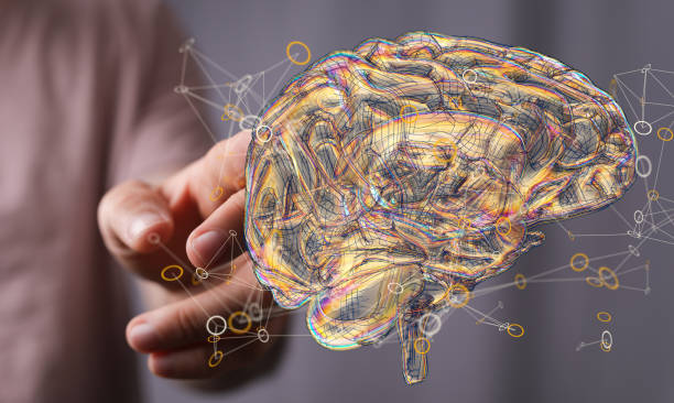 istock Hand touching a 3D rendering of a floating human brain 1464705162