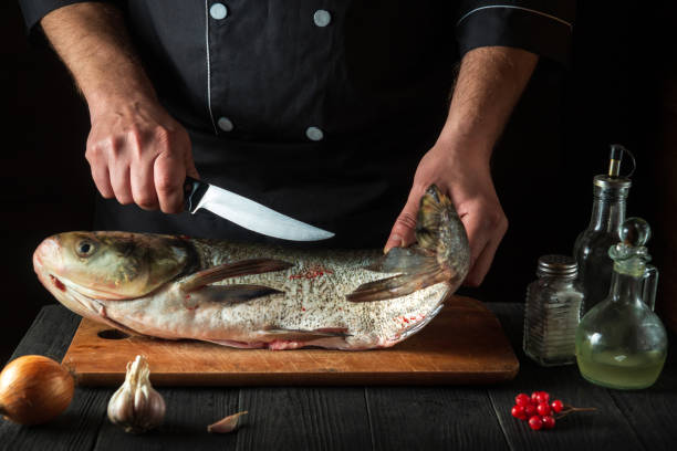 istock Professional chef prepares silver carp in the restaurant kitchen. Preparation for cutting fish with a knife. Work environment on the kitchen table 1464705887