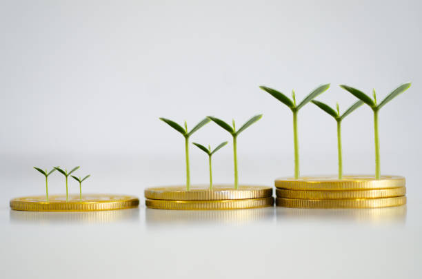 istock Coin in business concept. 1464706938