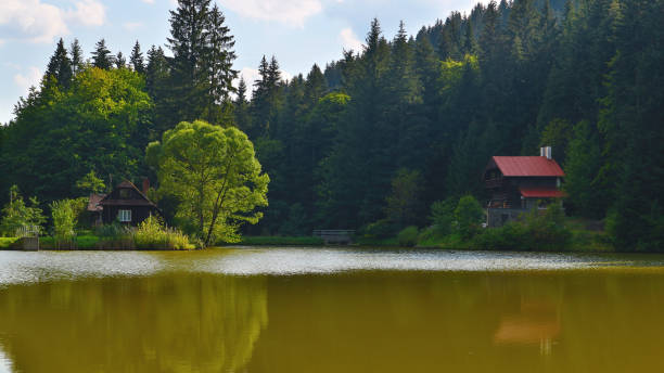 istock A view to the pond in mountains surrounded by cottages and forest 1464708146