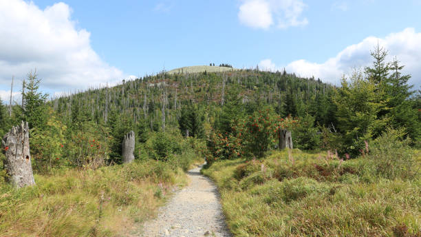 istock A path leading to the peak of the mountain 1464708174