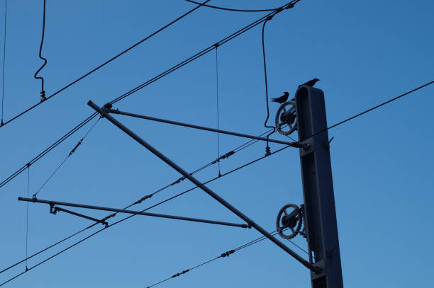 istock Overhead line of a subway with crows in the evening. 1464712392