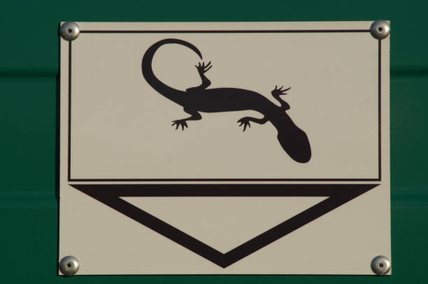 Note on a hole in the noise barrier: transition for lizards! Sign on a wall at the Main-Weser-Bahn in Frankfurt, Germany.