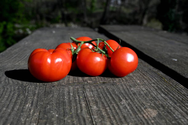 istock several tomatoes and a knife on a wooden table outdoor 1464714201