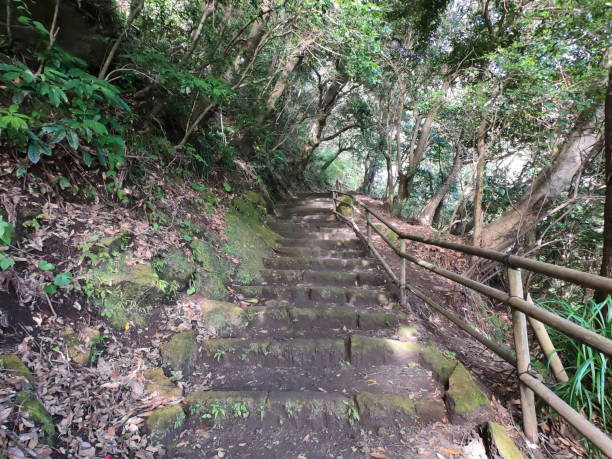istock The mountain path in Kagoshima 1464714214