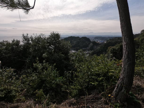 istock The view of Kagoshima bay 1464714244