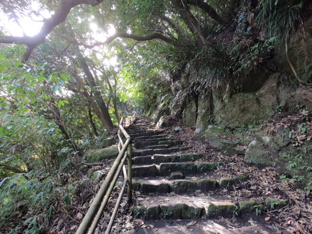 istock The mountain path in Kagoshima 1464714262
