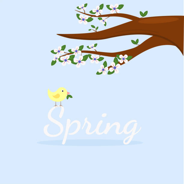 Free picture: The spring equinox, a free vector-style illustration of ...
