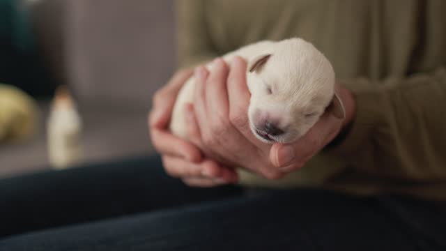 Woman is pampering one week old puppy