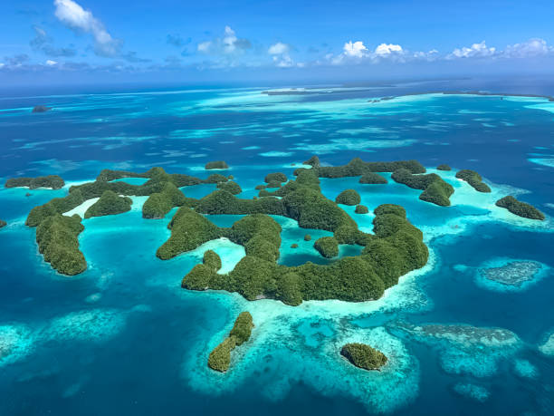 Islands Palau is an archipelago of over 500 islands palau beach stock pictures, royalty-free photos & images