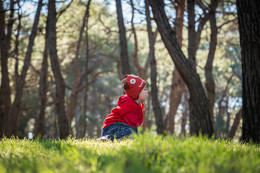 Little boy spends time on the grass in the forest in autumn
