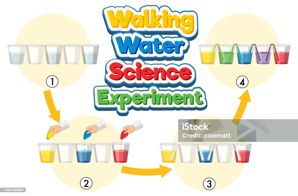 Water Process Experiment Walking Water Science Experiment Stock Illustration - Download Image ...