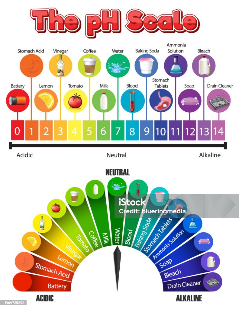 The Ph Scale Of Common Chemicals Stock Illustration Download Image