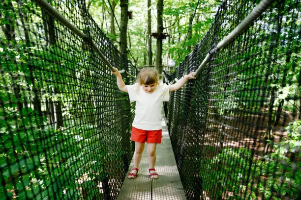 Cute little preschool girl walking on high tree-canopy trail with wooden walkway ropeways on Hoherodskopf in Germany. Happy active child exploring treetop path. Funny activity for families outdoors.