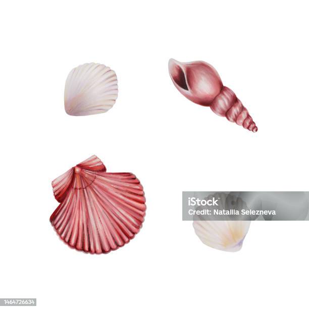 Shell With Pearl Clam Oyster 3d Vector Icon Stock Illustration
