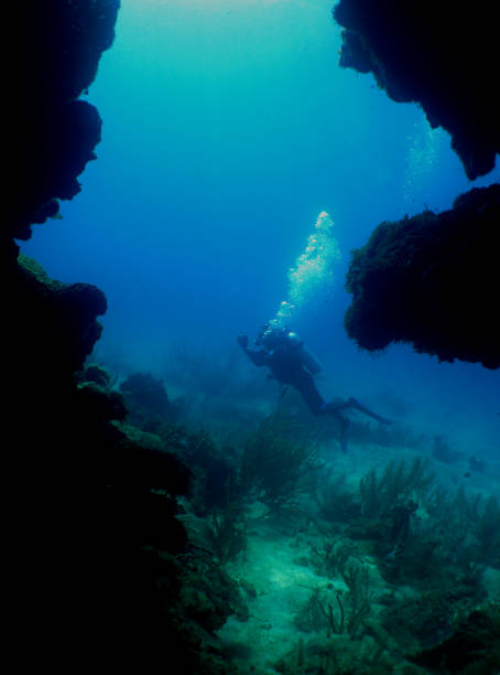 istock a diver in a coral cave 1464727664