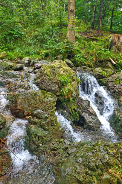 istock A stream of cold and clear water flows over the stones. 1464728896