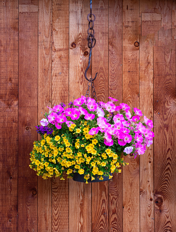 Decorative flower pot with yellow and pink flowers on a wooden wall