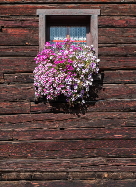 Interesting window in small wooden cabin