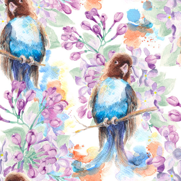illustrazioni stock, clip art, cartoni animati e icone di tendenza di modello colorato senza cuciture con pappagallo blu e rami fioriti lilla - spring birdsong bird seamless