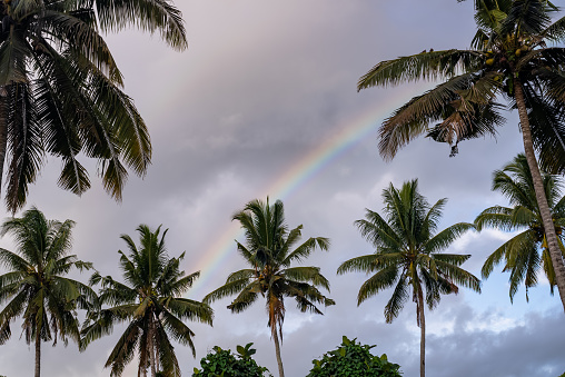 Rainbow over the South Pacific Ocean