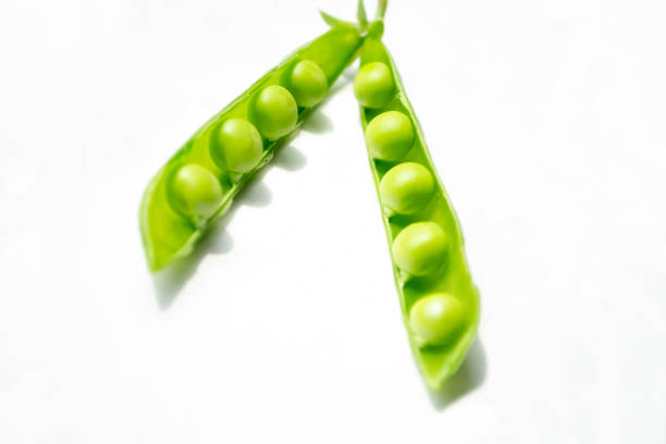 green pea pods with young beans. green peas on the table. on a white background is an open pod of green peas. - green pea pea pod salad legume imagens e fotografias de stock