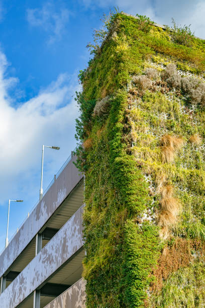 istock Vertical green garden on side of multi-storey car park 1464733791