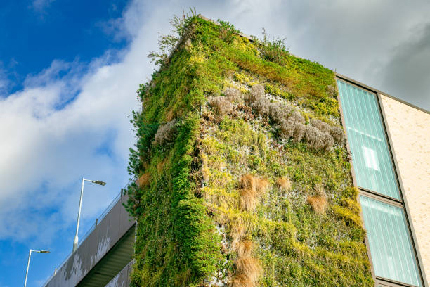 A vertical green wall full of grasses and plants growing on the side of a multi-storey car park in the city.