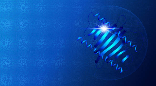 Proteomics and Functional Genomics - Conceptual Illustration with Copy Space Proteomics and Functional Genomics - The Large-scale Study of Proteins in Living Organisms - A Protein Isolated on Blue Tech Background - Conceptual Illustration with Copy Space naming organic compounds stock illustrations