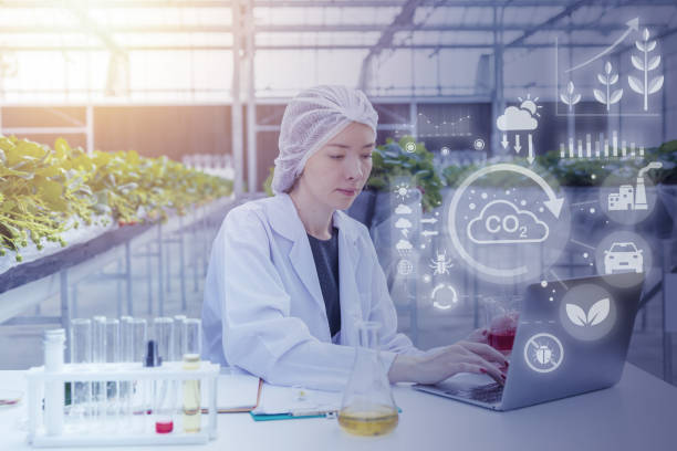 istock science and agriculture plantation research for productivity optimization concept. 1464742555