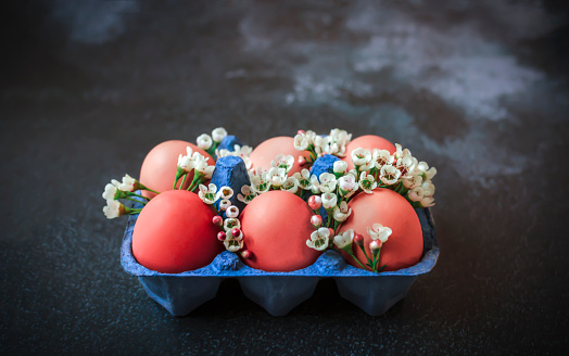 Easter red pastel eggs in blue carton box on black background and spring field blooming flowers with copy space