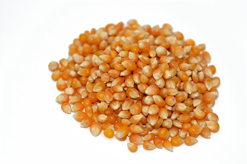 Maize or corn seeds and grains, pile of maize kernels that is used for popcorn and many other meals, The yellow maizes derive their color from lutein and zeaxanthin, also called Mayz, Taino and Mahis, selective focus