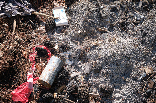 Bonfire remains - ashes and debris