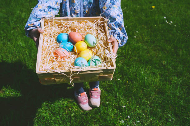 istock Colorful Easter eggs in basket. Kids hunt for eggs outdoors. 1464754643