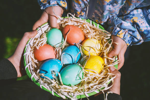 istock Colorful Easter eggs in basket. Kids hunt for eggs outdoors. 1464754679