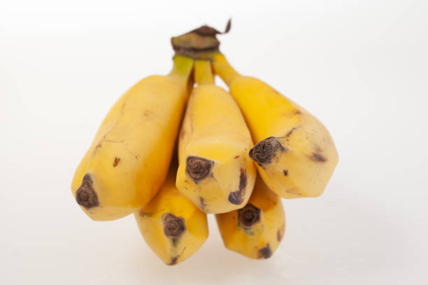Whole banana bunch  isolated on white background