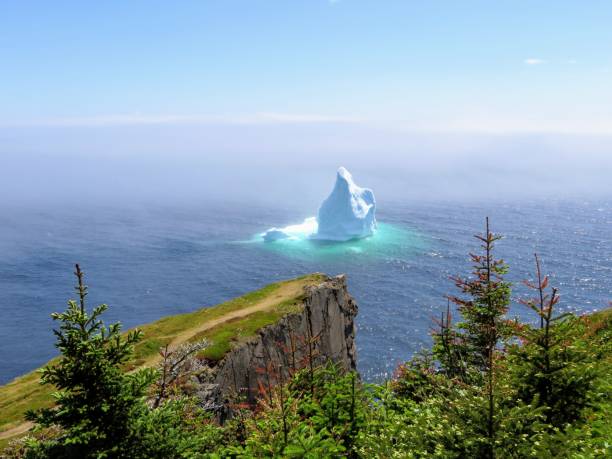 un'incredibile vista di un iceberg che galleggia al largo della costa di terranova, lungo il sentiero skerwink, in una bella giornata di sole - newfoundland foto e immagini stock