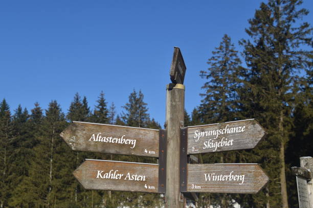 istock Direction sign with blue sky and forest in the back 1464762563