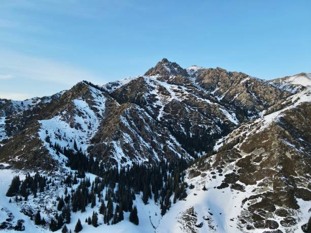 istock Forests and snow-capped mountains 1464765558