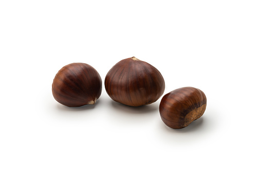 Five brown acorns isolated on a white background.