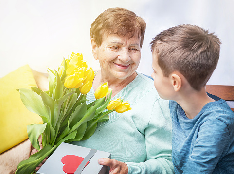 Grandson congratulates grandma (over the age of 50) on holiday. Grandmother has a bunch of flowers (tulipan). Kindness to senior (elderly) woman. Happy Mother's Day, grandmother day, Women's Day.
