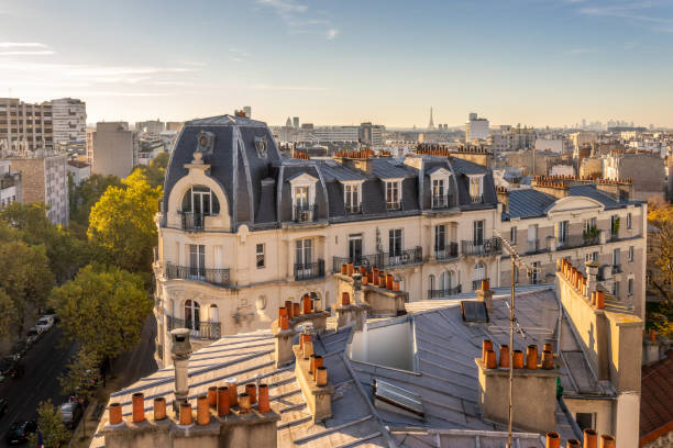 luftaufnahme der dächer von paris, frankreich typisches haussmann-gebäude - paris france roof apartment aerial view stock-fotos und bilder