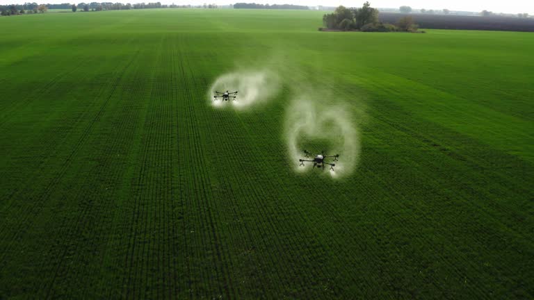 agrodrone treats fields with insect repellant from the air. Sprayers Agrodrone live. High quality 4k footage. Quadcopter flight over the field, help in fertilizer, pesticides. Top view of sprays fertilizer on agricultural plants . The use of smart techno