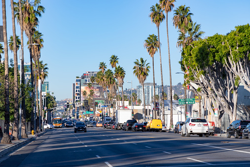 A picture of the east section of Sunset Boulevard.
