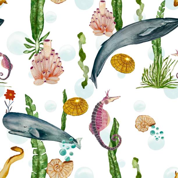 illustrazioni stock, clip art, cartoni animati e icone di tendenza di modello di acquerello dell'oceano della balena corallina della barriera corallina della conchiglia - label travel san diego california california